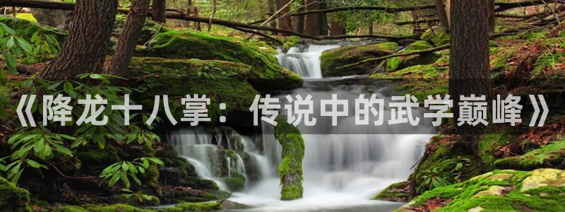 妖姬漫画官网免费登录入口：《降龙十八掌：传说中的武学巅峰》