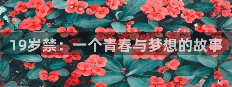 妖姬漫画免费漫画下载：19岁禁：一个青春与梦想的故事